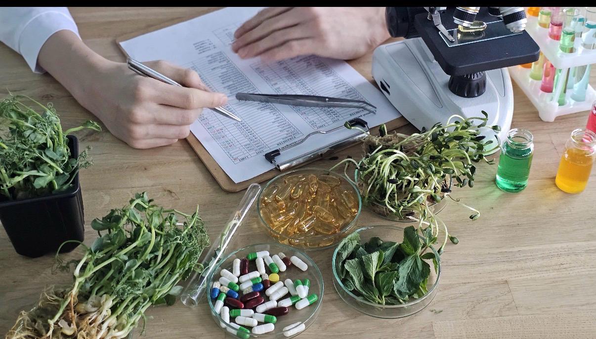 Health Roots - Nature & Herbs